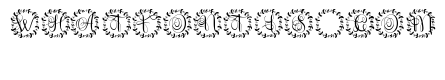 Monoluxe Monogram