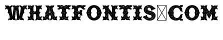 Texture Letters