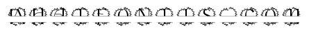 Monarchine Split Monogram