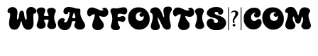Momo Bold