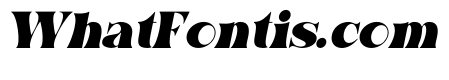 MOICE Cigo Italic