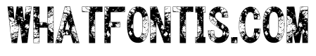 Modern Rough Regular