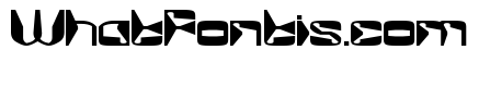 MirrorTech Bold