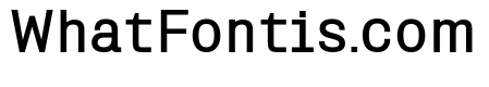 Miracle Mono Bold