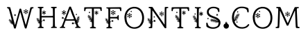 Merit Regular