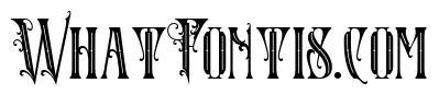 Mailyarder Regular