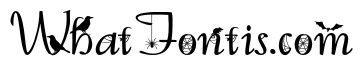 PN Macabre Millionaire Script Expanded