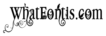 PN Macabre Millionaire Condensed