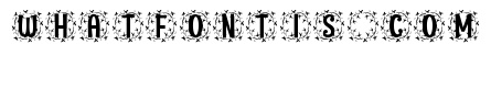 Luminara Monogram