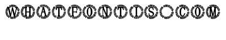 Lumille Monogram