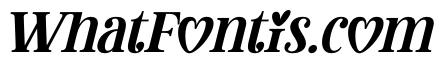Lover Signal Italic