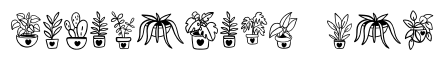 Lovely potted plants