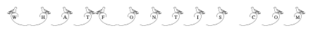 Love Bird Wedding