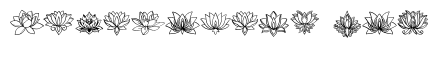 Lotus Line Set