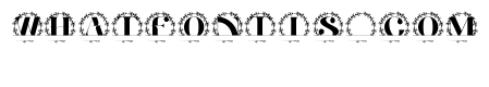 Linea Split Monogram