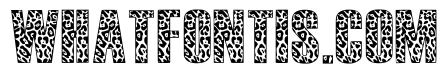 Leopard World Regular