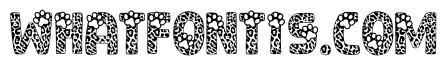 Leopard Style Regular