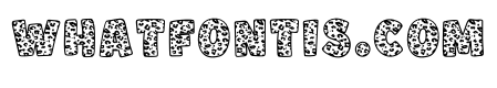 Leopard Bubble