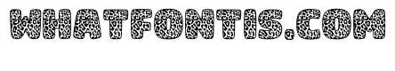Leopard Regular