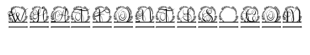 Leafenca Split Monogram