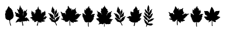 Leaf Silhouette Set