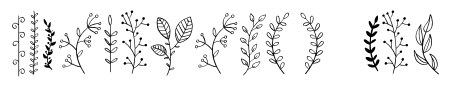Leaf Line Art