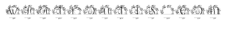 Laurisia Split Monogram
