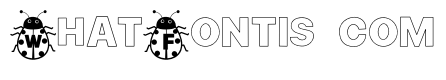 Ladybug  font