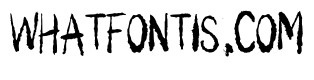 Kooky Spooky Ink Brush  Regular