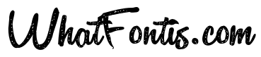 ZP Jersey Jack Script