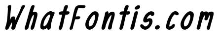 InkSlim Bold Italic