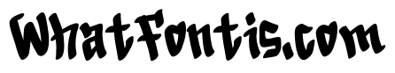 InfectionSystem