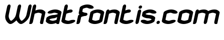 HUNDRED PERCENT Bold Italic