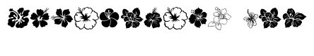 Hibiscus Set