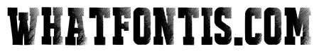 Halftone Project Regular
