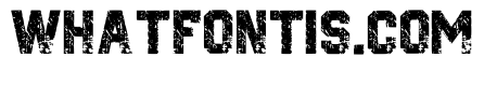 Grunge Sports Regular