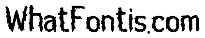 Griffin_Feathers