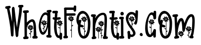 PN Golden Bloom Too