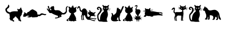 Ghost Cat