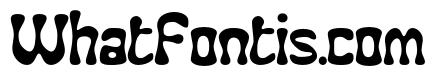 Funky Winky Regular