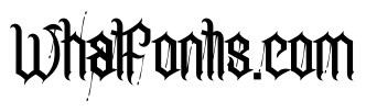 FridayStorm
