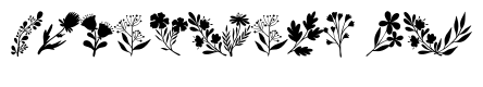 Flower Hand Drawn