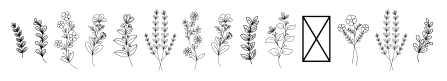 Floral Line Art