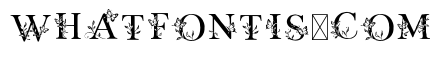 Btzfloralbutterfly