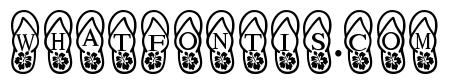 Flip flops beach
