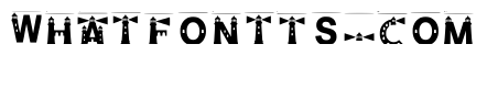 Flint Regular