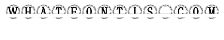 Fleurwyn Split Monogram