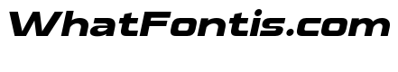 Finzer Italic