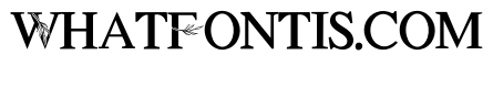 Festive Botanical Monogram