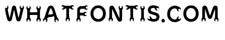 Feast Regular